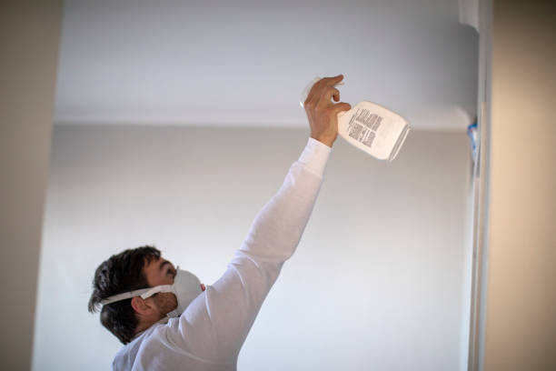 Best Commercial Mold Remediation in Ottawa, KS