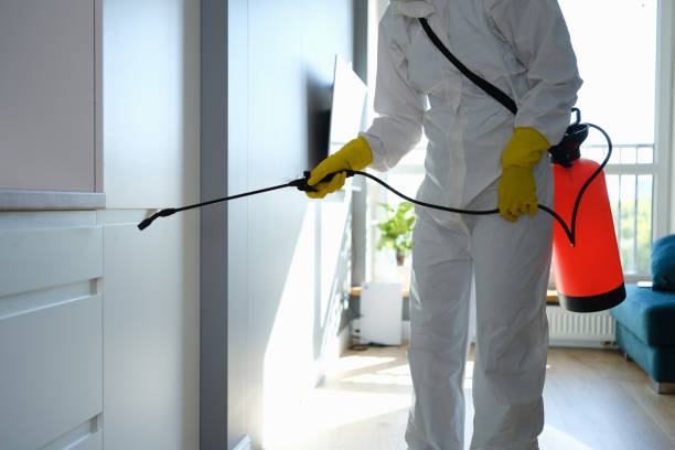 Best Bathroom Mold Remediation in Ottawa, KS