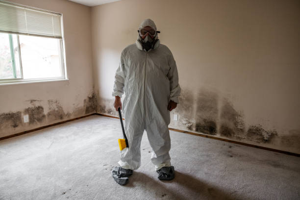 Best HVAC Mold Remediation in Ottawa, KS